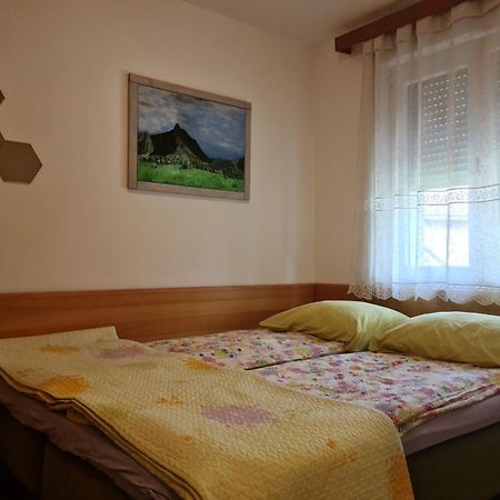 Apartments Bovec Dana エクステリア 写真