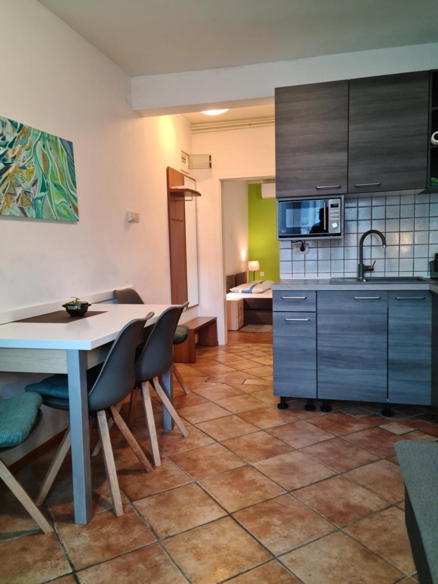 Apartments Bovec Dana エクステリア 写真