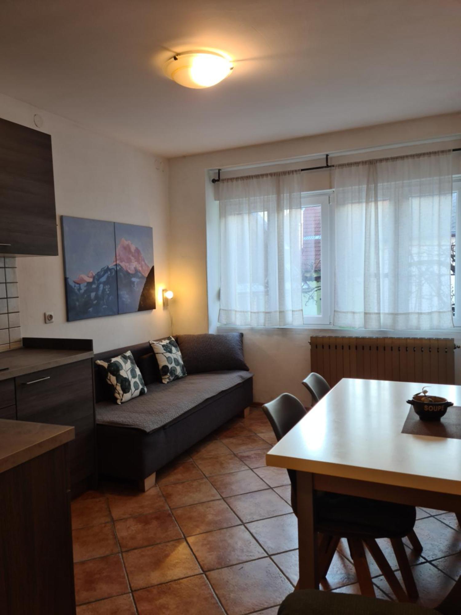 Apartments Bovec Dana エクステリア 写真