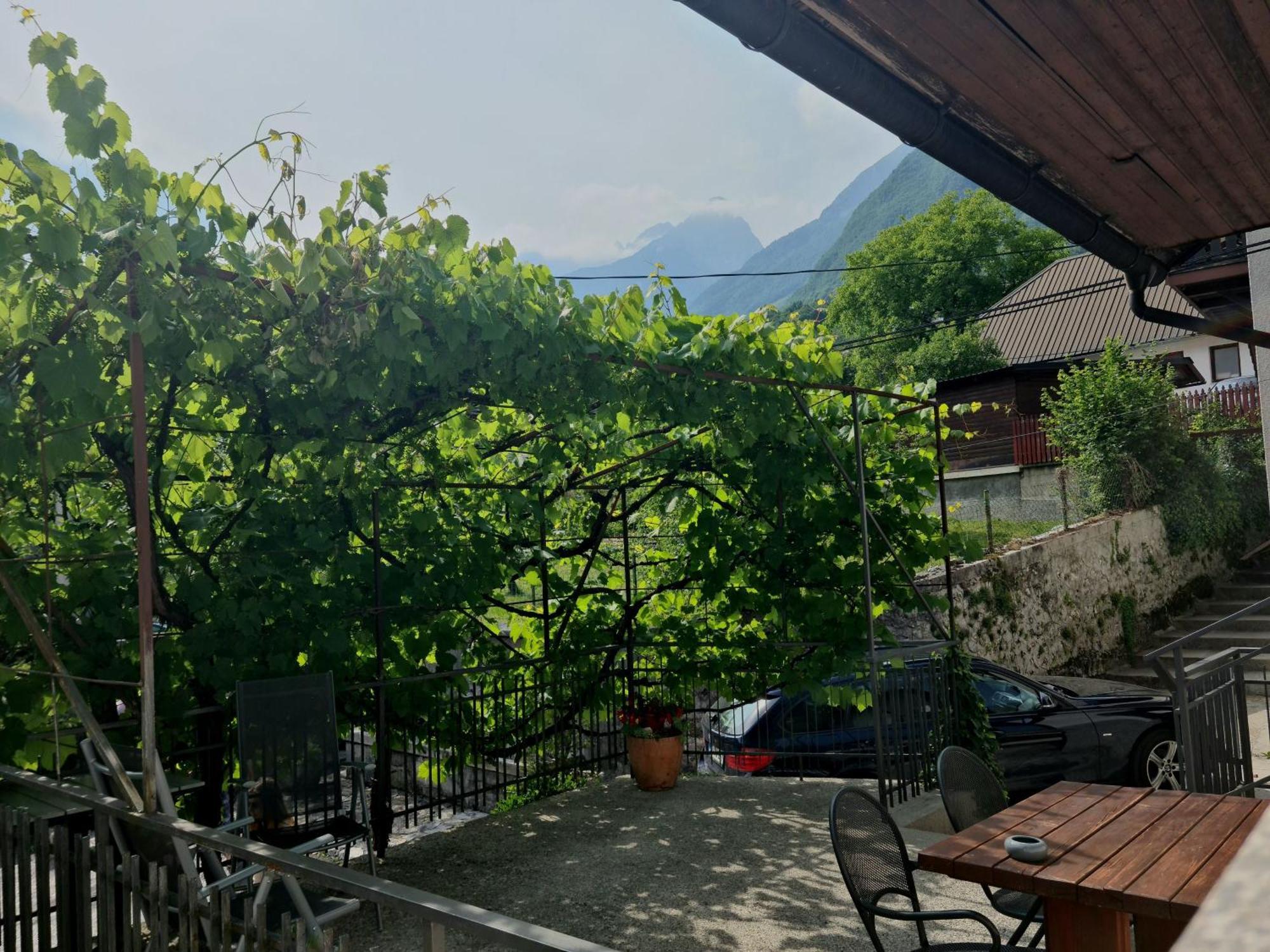 Apartments Bovec Dana エクステリア 写真